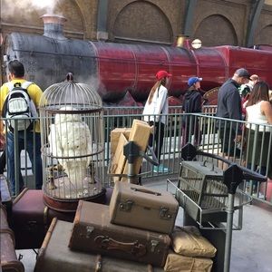 Meet your Posher, Ali